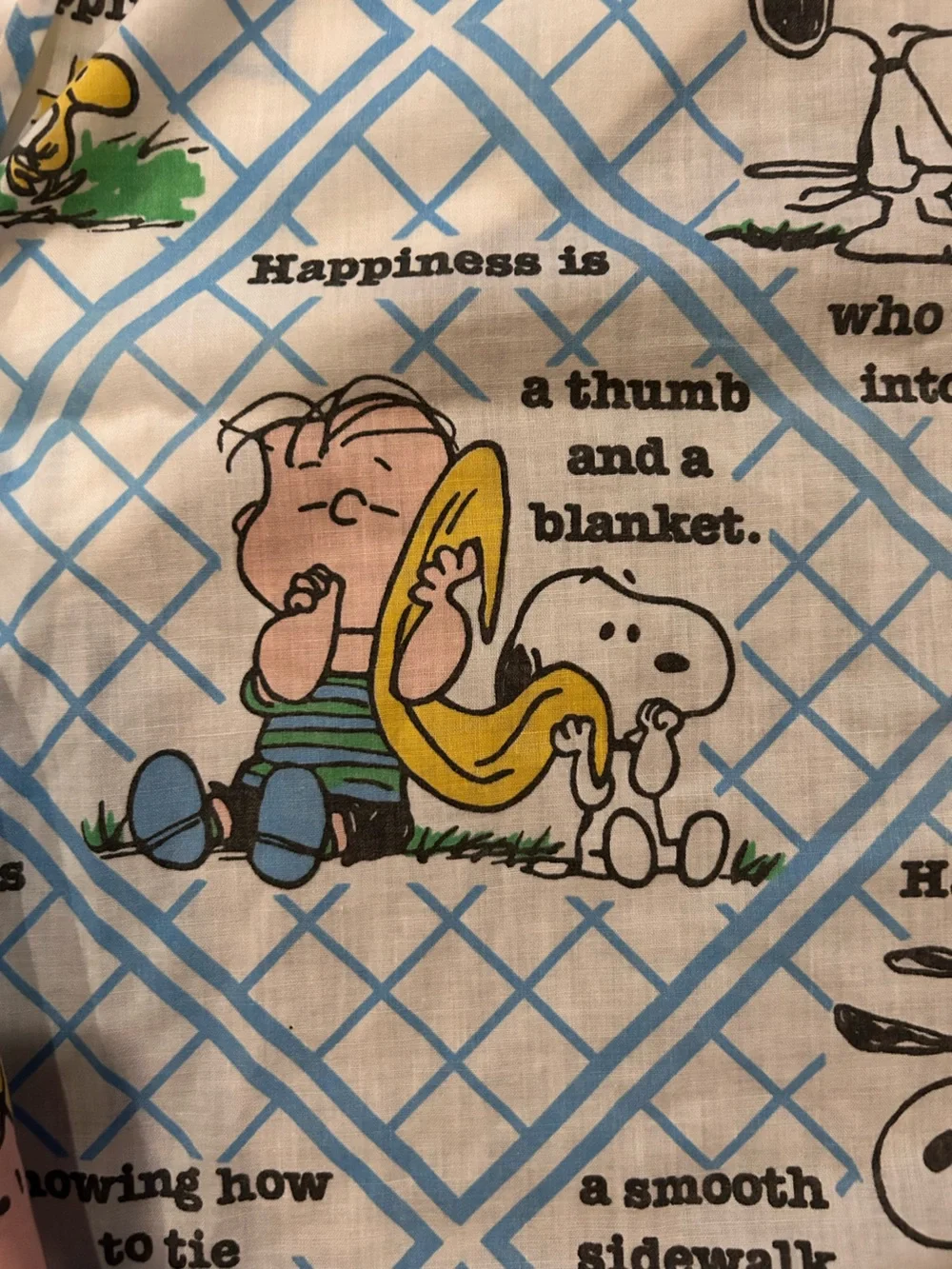 Vintage 1971 Snoopy Peanuts HAPPINESS IS Twin Fitted Sheet & Pillowcase